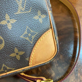 The Parrot Crossbody - Monogram in Vachetta